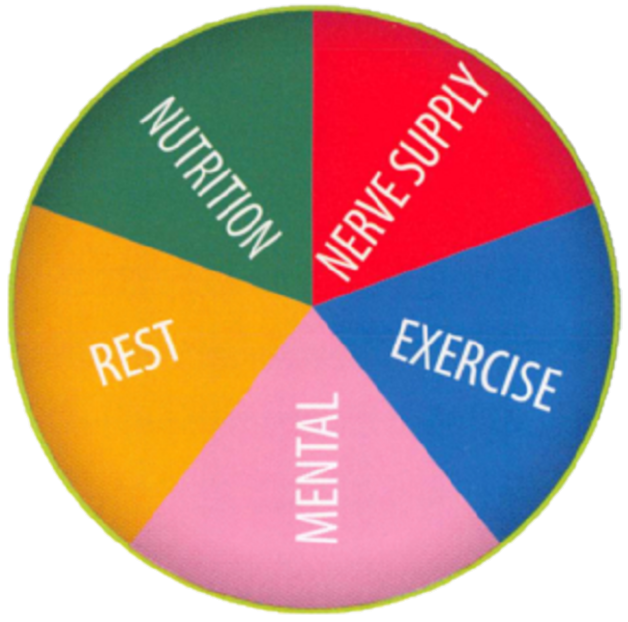 Wheel of Health