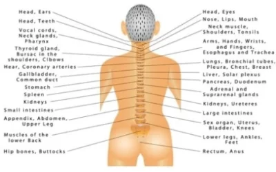 Subluxation Treatment