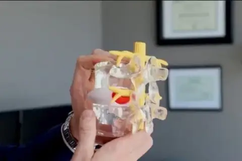 Herniated Disc Doctors – Suffolk Physical Therapy & Chiropractic Chiropractor treating a patient with a herniated disc at Suffolk Physical Therapy & Chiropractic in Suffolk County, NY